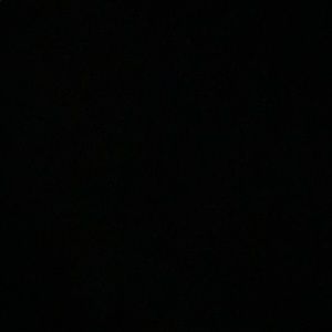 Meet your Posher, Molly